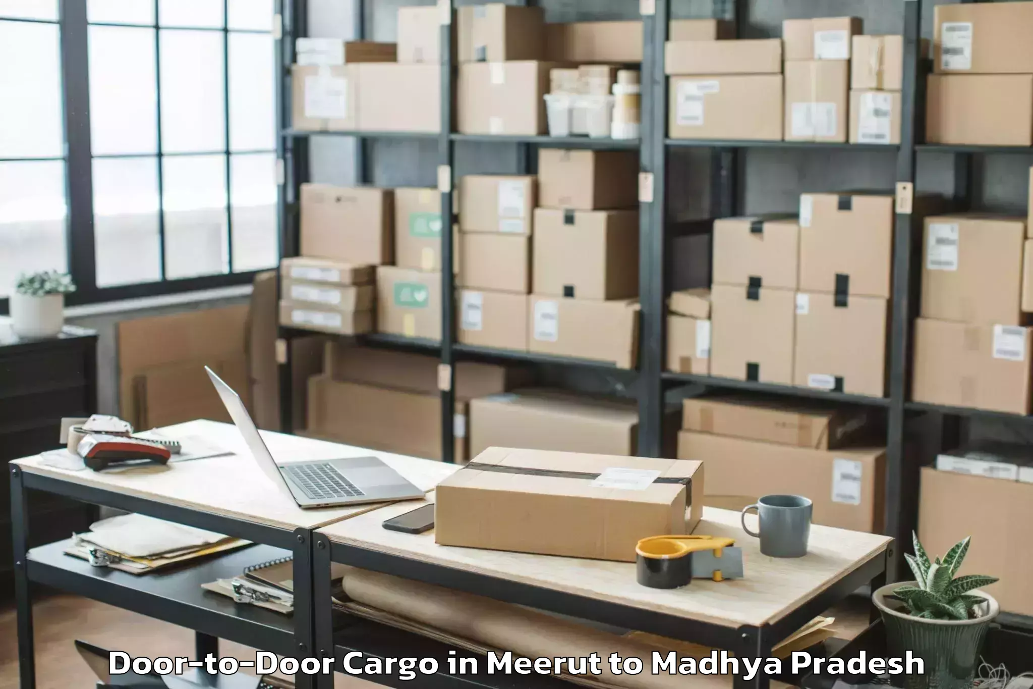 Reliable Meerut to Gwalior Door To Door Cargo